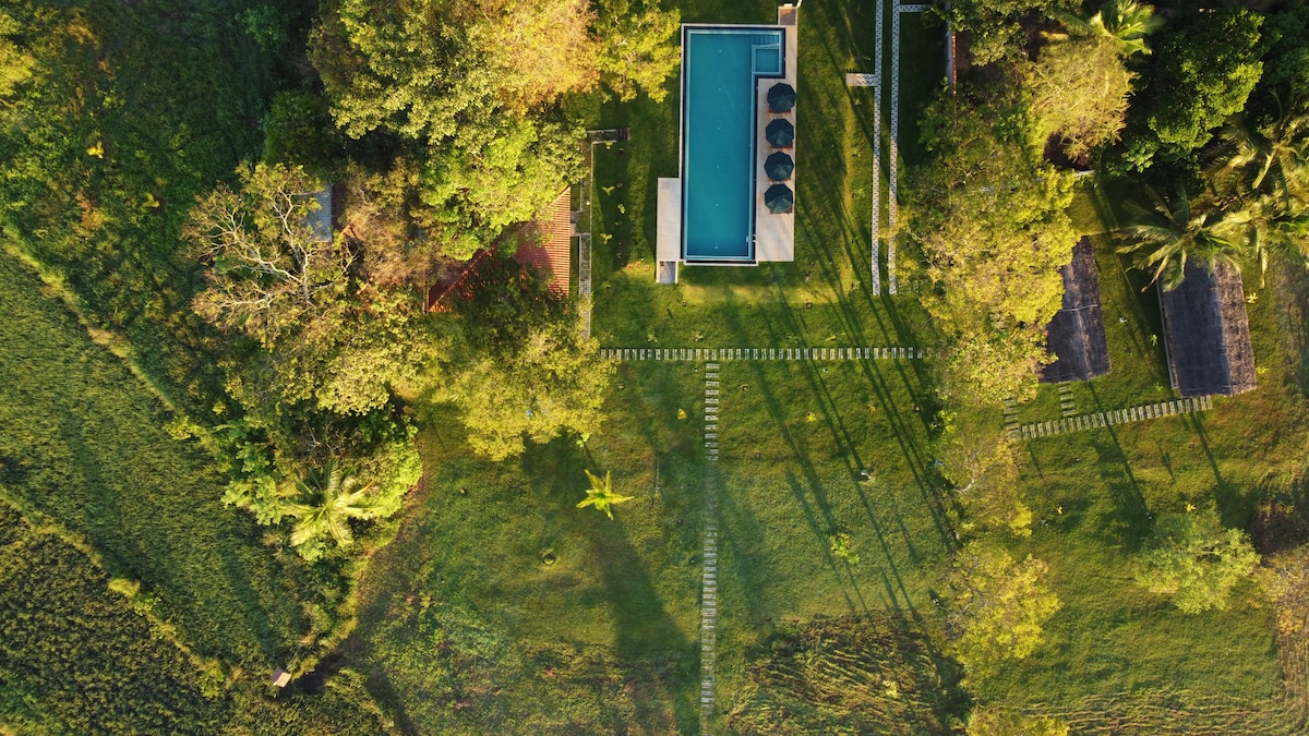 An aerial view showcases a lush landscape featuring a swimming pool surrounded by tropical greenery. Pathways are visible, leading to shaded areas and seating arrangements. The vibrant colors of nature blend harmoniously with the tranquil blue of the pool.
