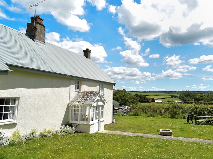 Well Farmhouse - Uk11880 - Holsworthy