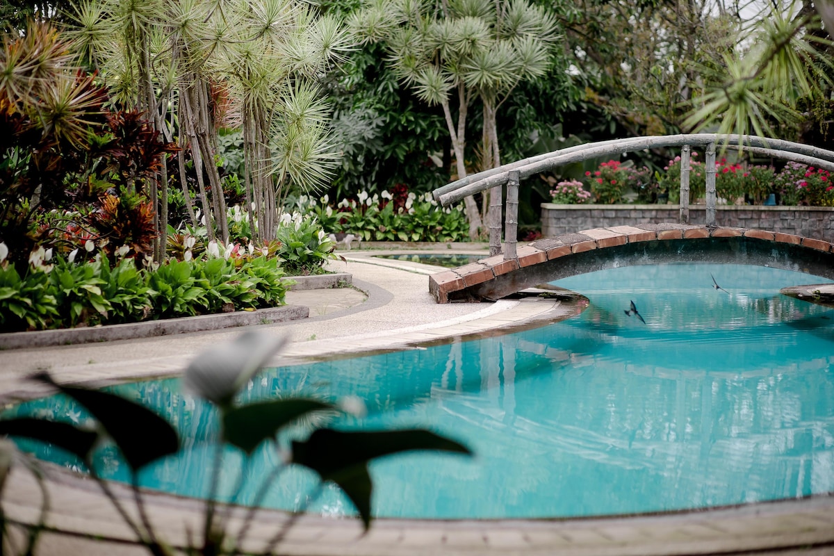A tranquil swimming pool is surrounded by lush greenery and colorful flowers. A curved bridge arches over one section of the pool, enhancing the serene landscape. Tropical plants gently frame the view, contributing to a peaceful atmosphere.