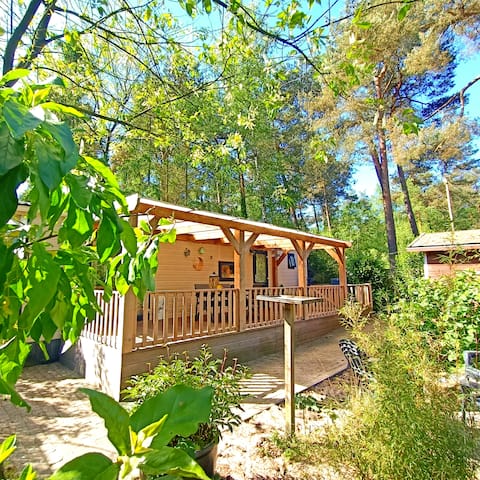Forest cottage the Vossennest on the Veluwe!