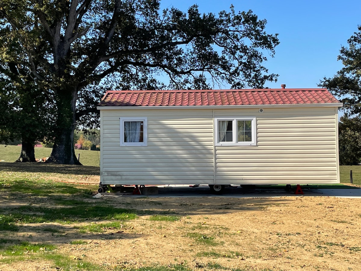 A tiny house is shown in a private grassy area, surrounded by trees. The exterior features a light-colored facade with a red roof and two windows. Clear skies provide ample natural light, enhancing the peaceful outdoor setting.