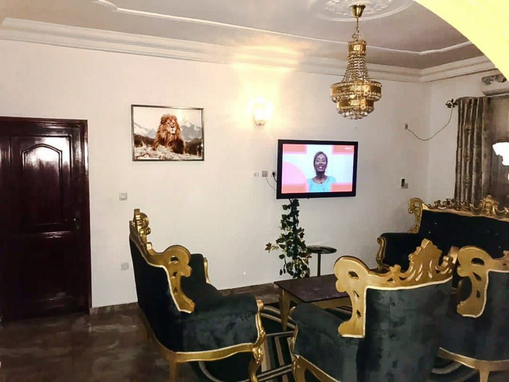 An elegantly furnished living area features a large television positioned against a light-colored wall. Gold-accented seating arrangements are complemented by a decorative table. A framed image of a lion hangs above the seating, while plants add a touch of greenery to the space.
