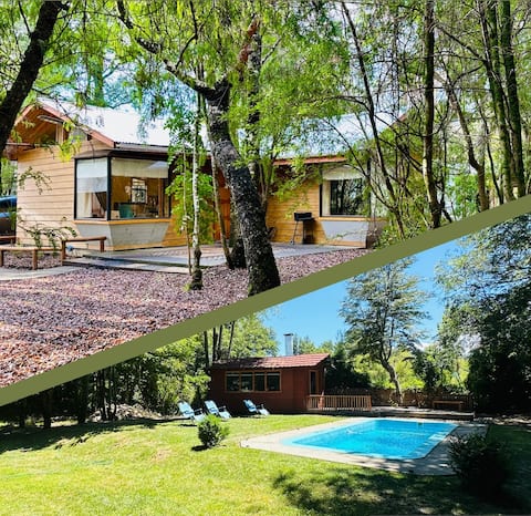 Popular Airbnb listing: Roca Volcán Cabin in Melipeuco