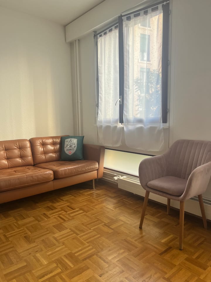 Appartment By The Lake - Geneva