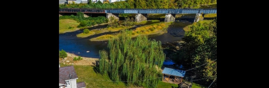 A serene riverfront view showcases a lush green area with a willow tree and a sheltered picnic spot near the water. A bridge crosses the river in the background, and gentle ripples can be seen on the surface of the water, enhancing the peaceful setting.