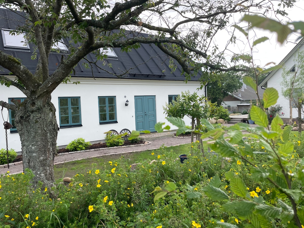 A charming white house with blue doors is set against a backdrop of greenery. Flowering plants and a tree provide natural elements in the foreground, while pathways lead up to the entrance. Traditional features are complemented by a well-maintained garden area surrounding the home.