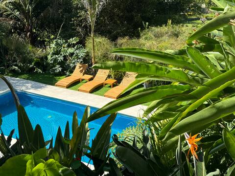 AquaVilla Crystal Spring Jacuzzi Dock Natural Pool