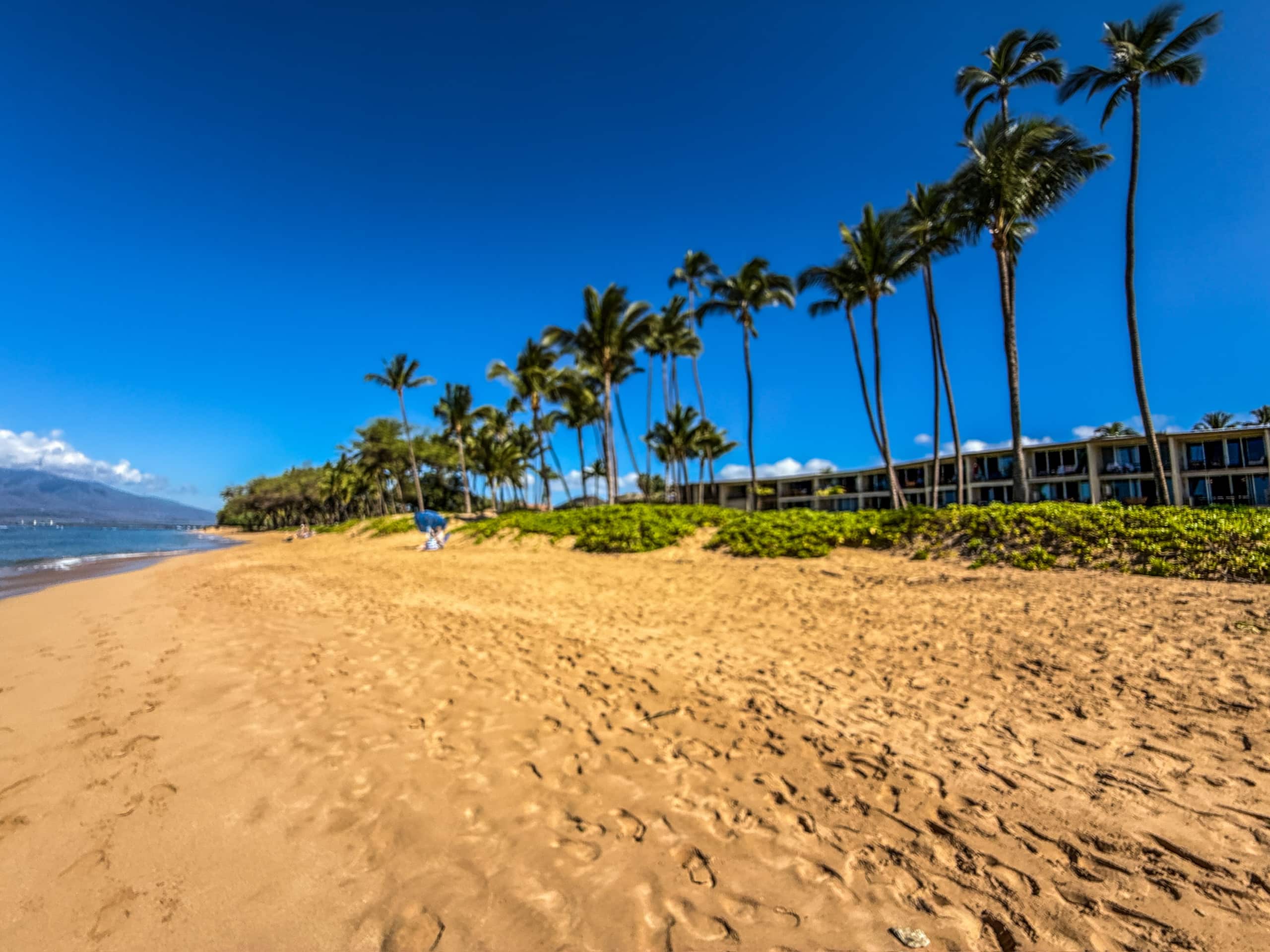 Condo in Kihei · ★4.95 · 1 bedroom · 3 beds · 1 bath - Image 35