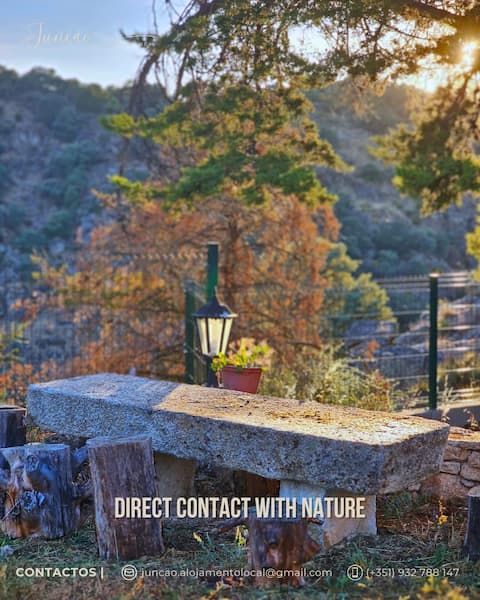 T1 junction local accommodation