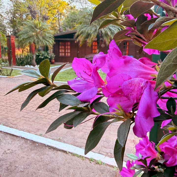 Cabin With Pool Surrounded By Nature - Puerto Iguazú