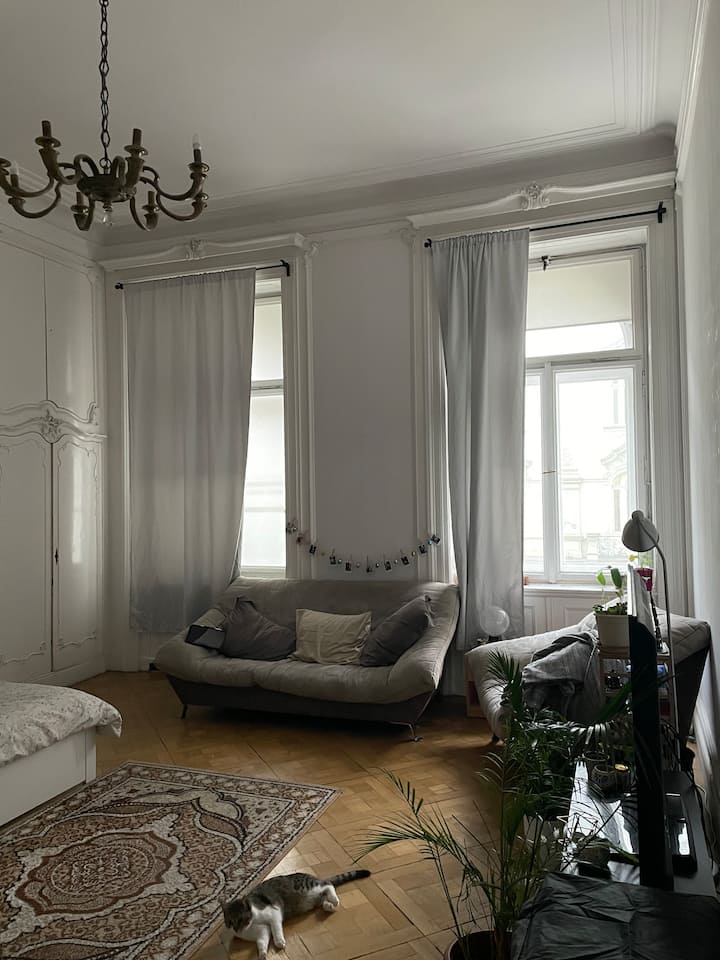 Light-filled Historic Suite – Prague 2 - Prague