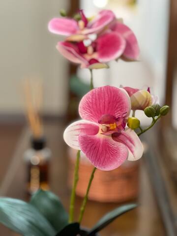 Orio easy relax 24h Airport 3