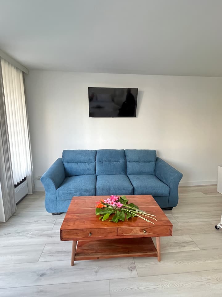 Waikiki Newly Renovated Apt! - Honolulu, HI