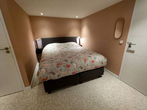 Cozy studio near downtown with 2 bikes