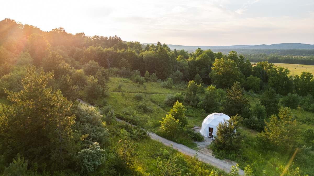 An aerial view captures the geodesic dome nestled within lush greenery, surrounded by trees and natural vegetation. A winding path leads to the dome, while rolling hills stretch in the distance beneath a warm sunset sky, creating a serene and inviting setting.