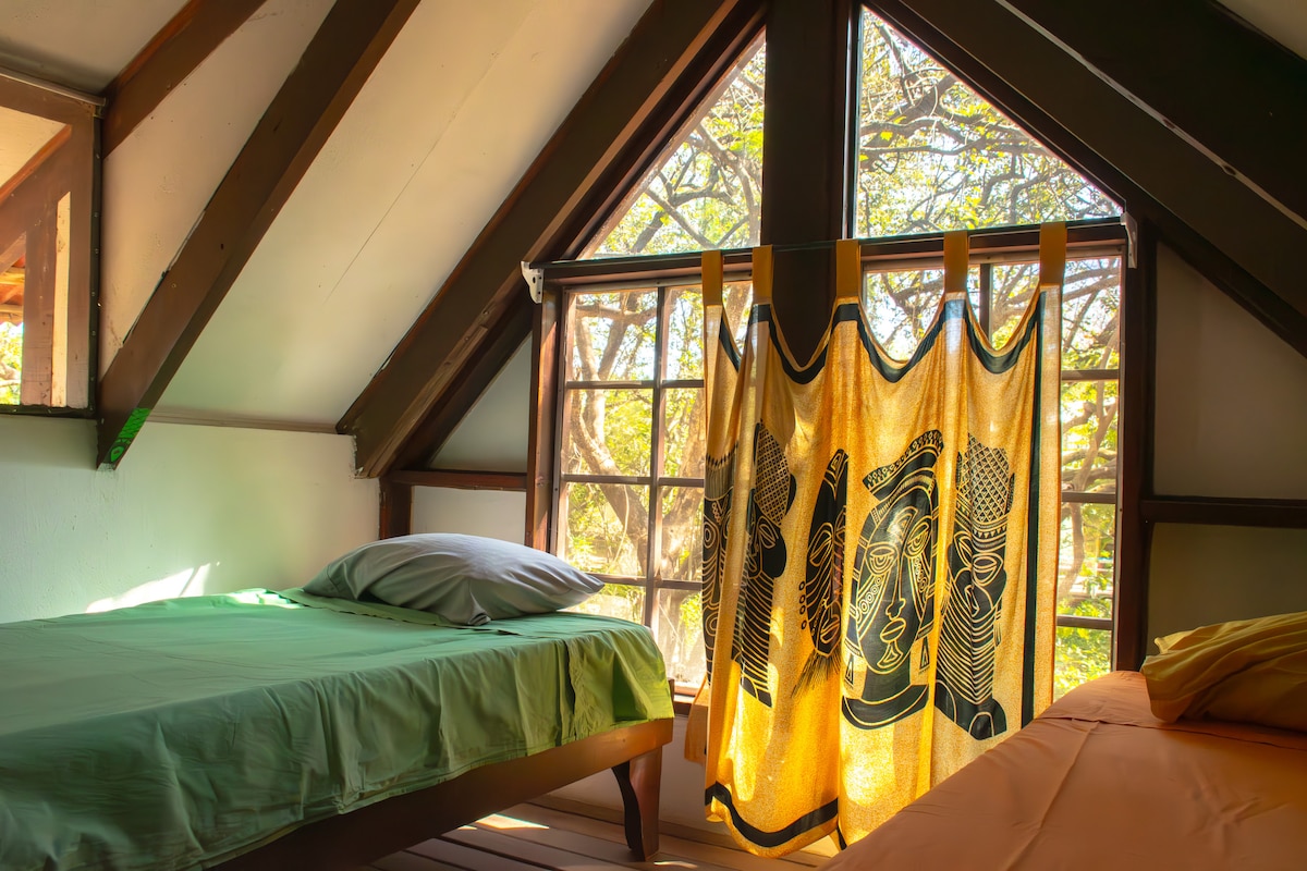 An airy loft-style room features two beds, one with a light green cover and the other in orange. Large windows allow natural light to filter in, showcasing the view of a lush tree outside. A patterned curtain adds visual interest while gently diffusing sunlight.