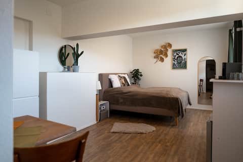 Popular Airbnb listing: SeeOase- Studio with lake view and garden in Luzern