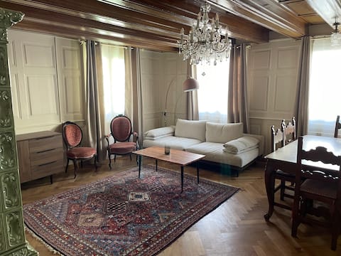 Beautiful renovated apartment near Strasbourg