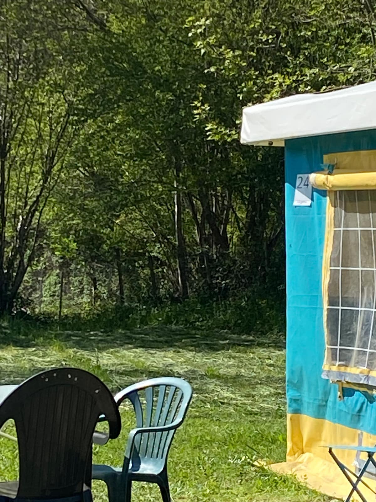 A bright and inviting outdoor space features a blue and yellow tent marked with the number 24. Nearby, two chairs are positioned around a small table on a grassy area, with lush greenery forming a natural backdrop.