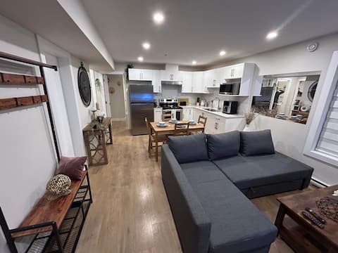 New, Spacious 2 Bedrooms suite in downtown !