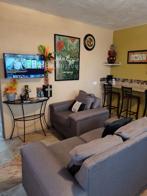 Top performing Airbnb: "A leap across the border" apartment in Piedras Negras