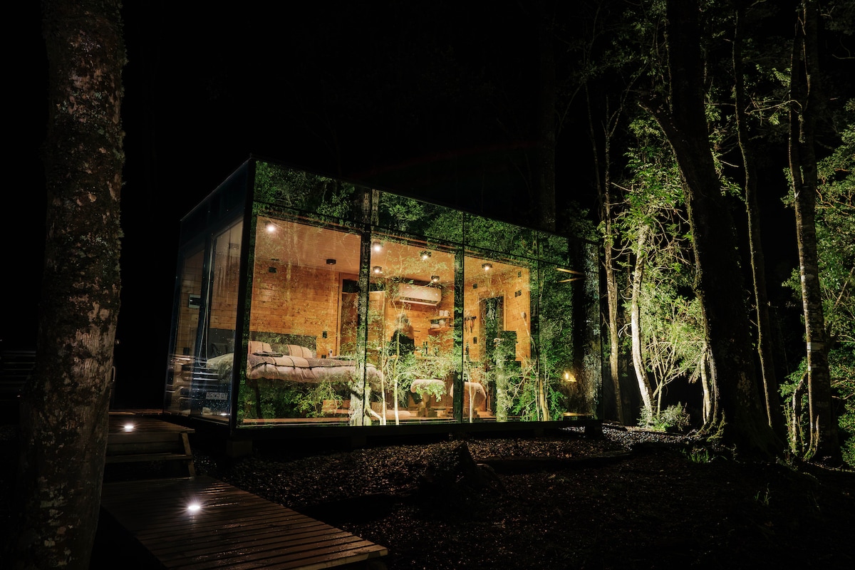 A modern cabin is illuminated at night, showcasing its glass exterior that reflects the surrounding forest. The interior is visible, featuring warm lighting and natural wood accents. A wooden pathway leads to the entrance, blending seamlessly with the natural landscape.