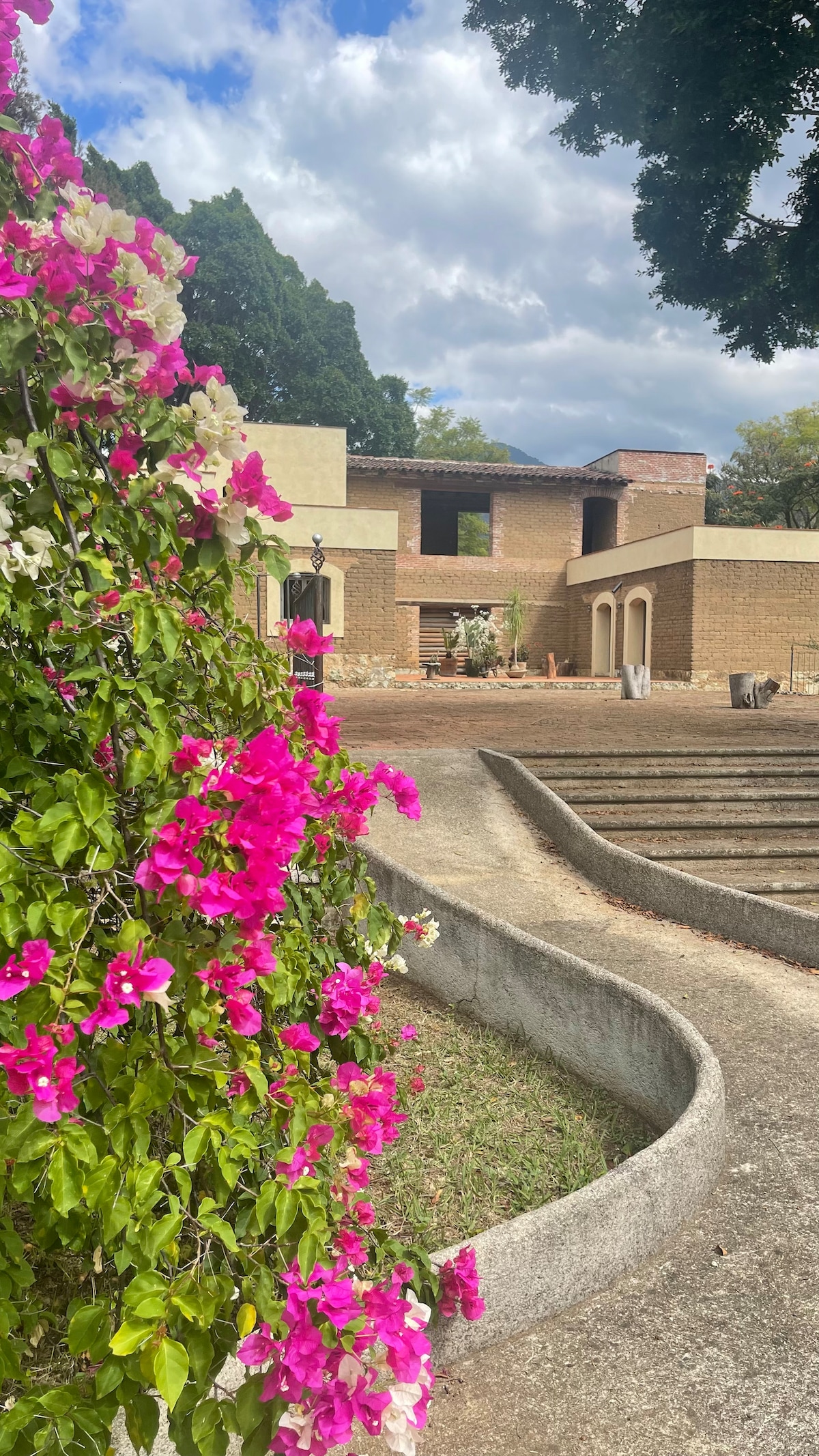 Vibrant bougainvillea flowers in shades of pink frame a view of a two-story building. The structure features brick walls and large windows, surrounded by green spaces. A winding path leads through the landscaped area, offering a serene entrance to the property.