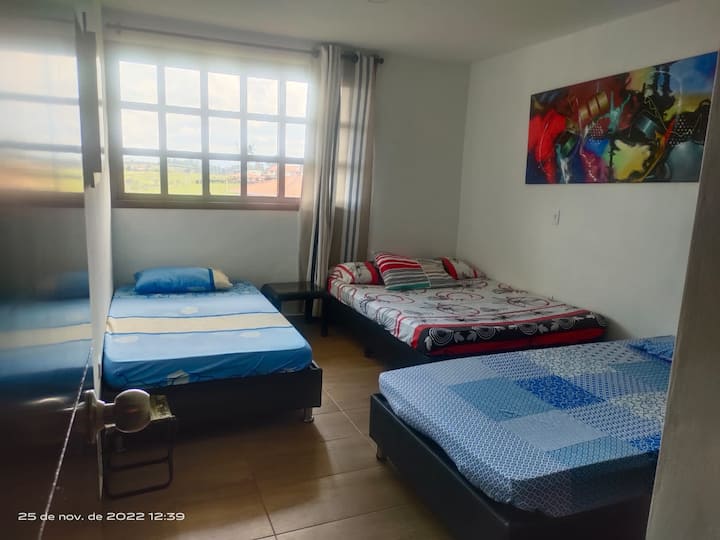 Quarto