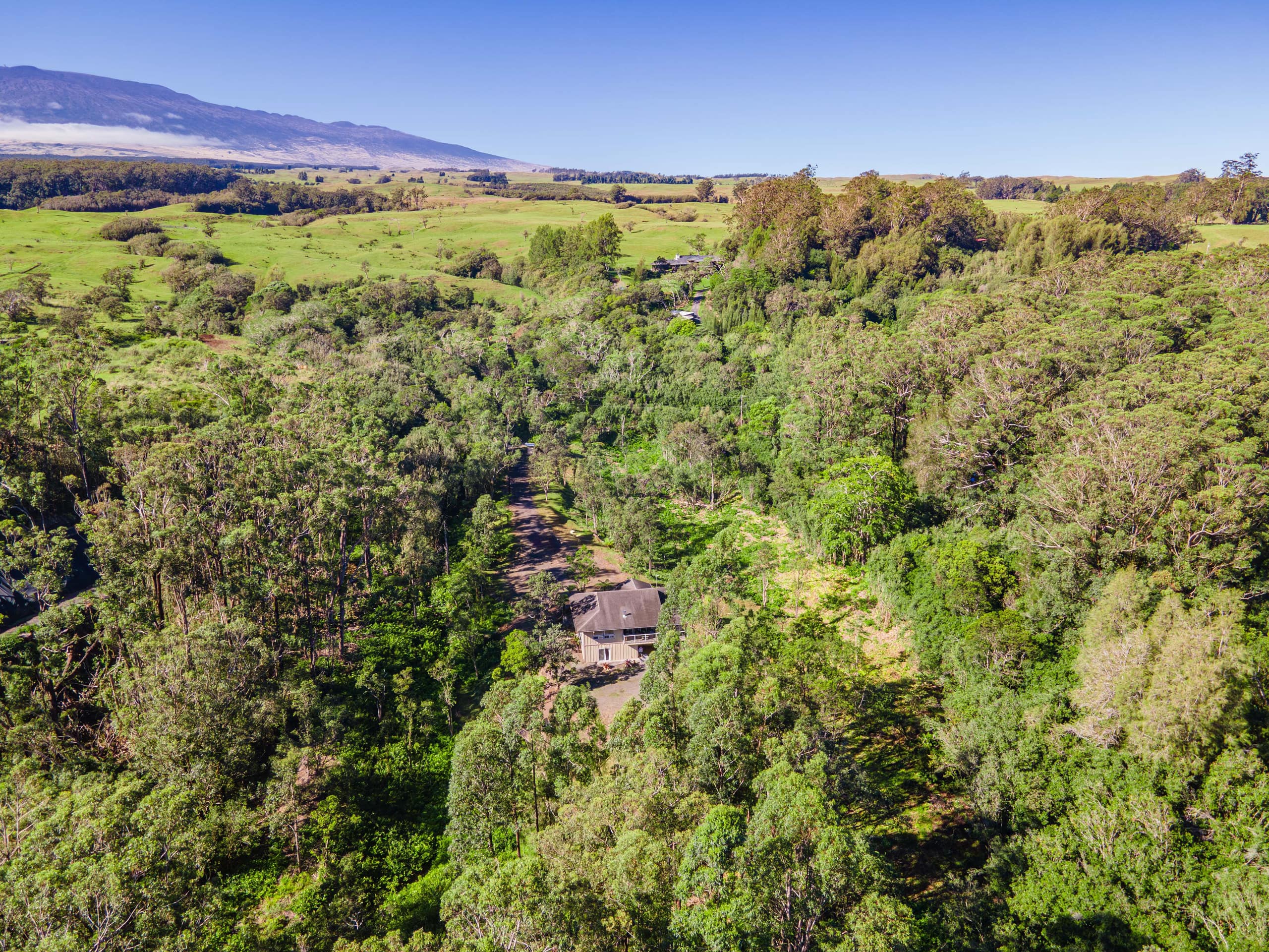 Home in Honokaa · ★4.86 · 4 bedrooms · 6 beds · 3 private baths - Image 57