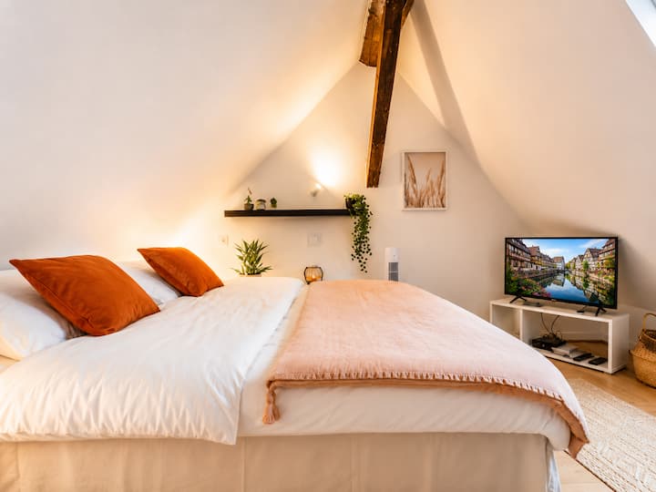 Appartement Vue Imprenable Cathedrale - King Size - Estrasburgo