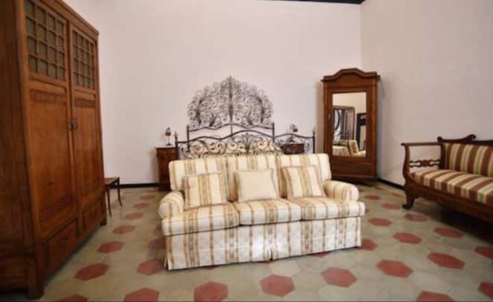 Napoleon Guest House - アラッシオ
