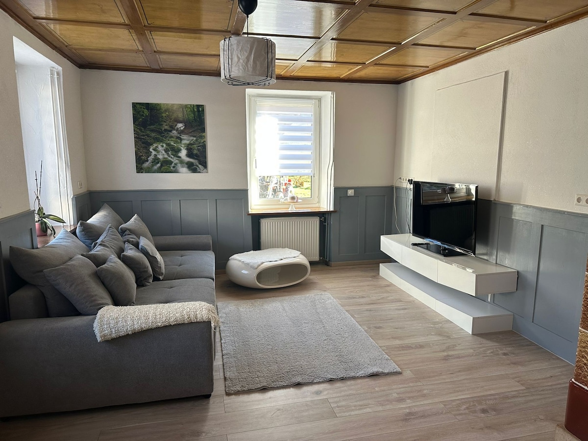 Proprietà Airbnb di successo: Apartment in Todtnau/Präg a Todtnau