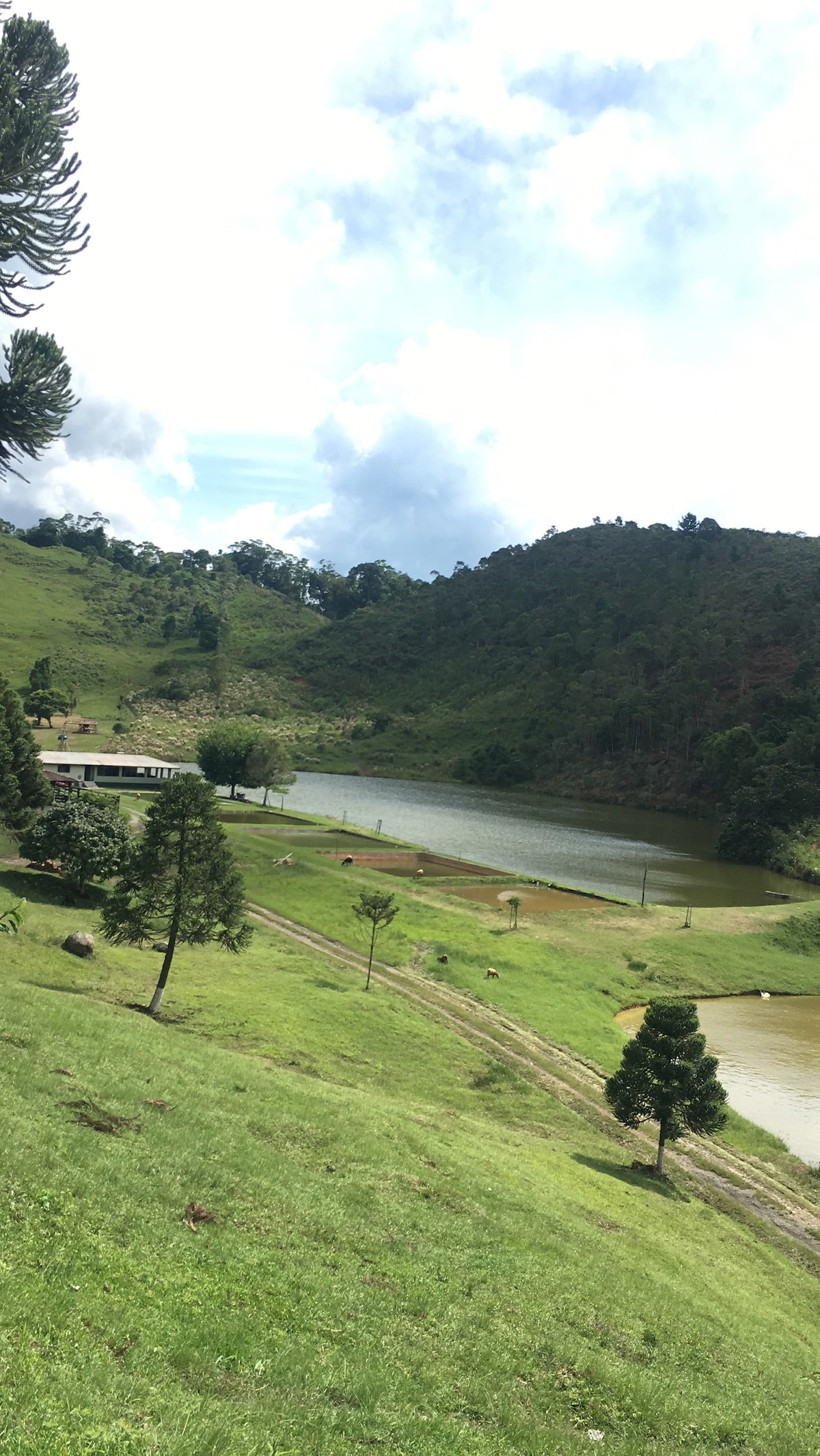 A serene landscape showcases a calm body of water surrounded by lush, green hills. Sparse trees and gently sloping terrain are visible, providing a natural oasis setting. The sky is partly cloudy, adding to the peaceful ambiance of the scene.