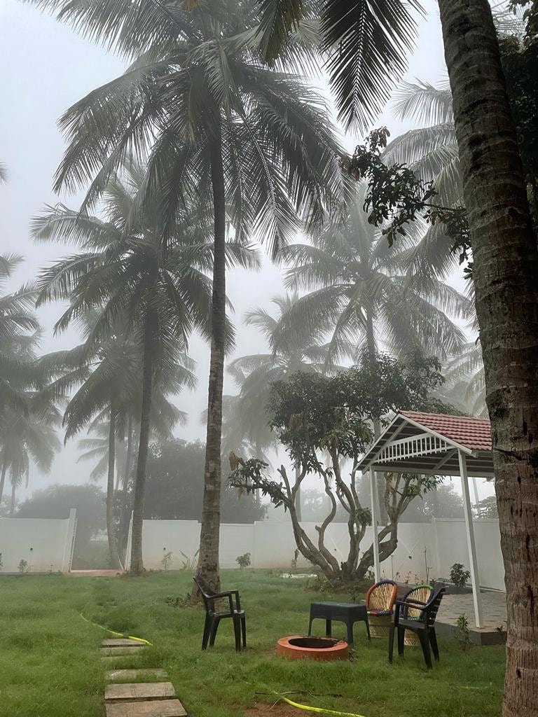 Tall coconut and mango trees create a serene backdrop in a misty landscape. A few chairs are placed on the lawn, accompanied by a gazebo structure. The soft grass pathway leads through the greenery, enhancing the peaceful ambiance of the outdoor space.