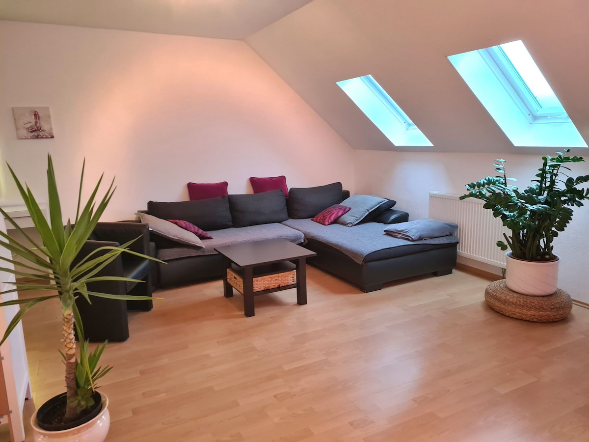 A bright living area features a spacious sectional sofa with cushions, accompanied by a small coffee table. Two skylights allow natural light to fill the room. A potted plant adds a touch of greenery, enhancing the inviting presence of the space.