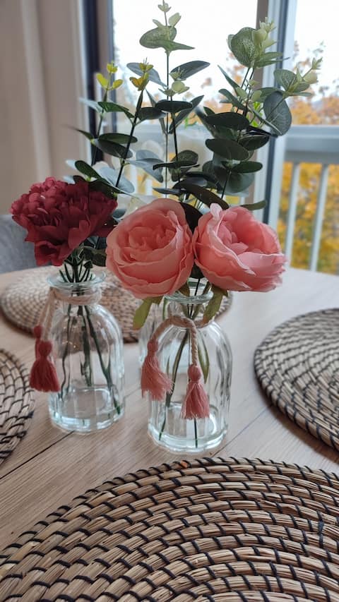Successful Airbnb property: La Rose de Léna in Diocèse De Nancy Toul