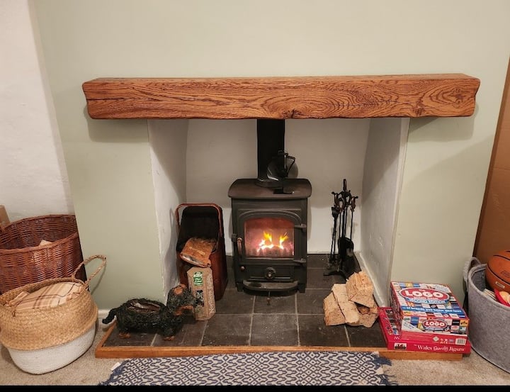 マルチコンロの火災-石炭や丸太を燃やすことができます 