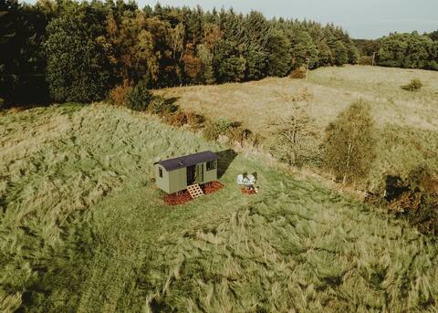 Into The Glade
Shepherds Hut in meadow & forest