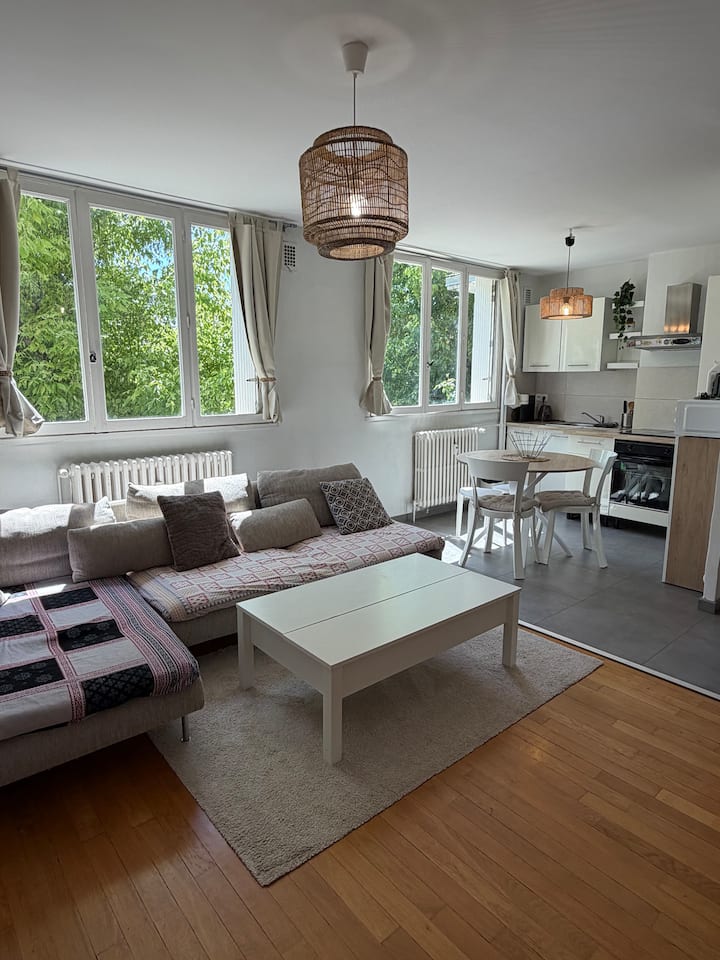 Appartement - Dijon - Dijon