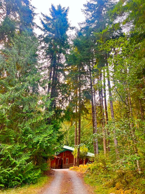 TallTrees Retreat•Waterfalls•Hot Tub•Wood Stove