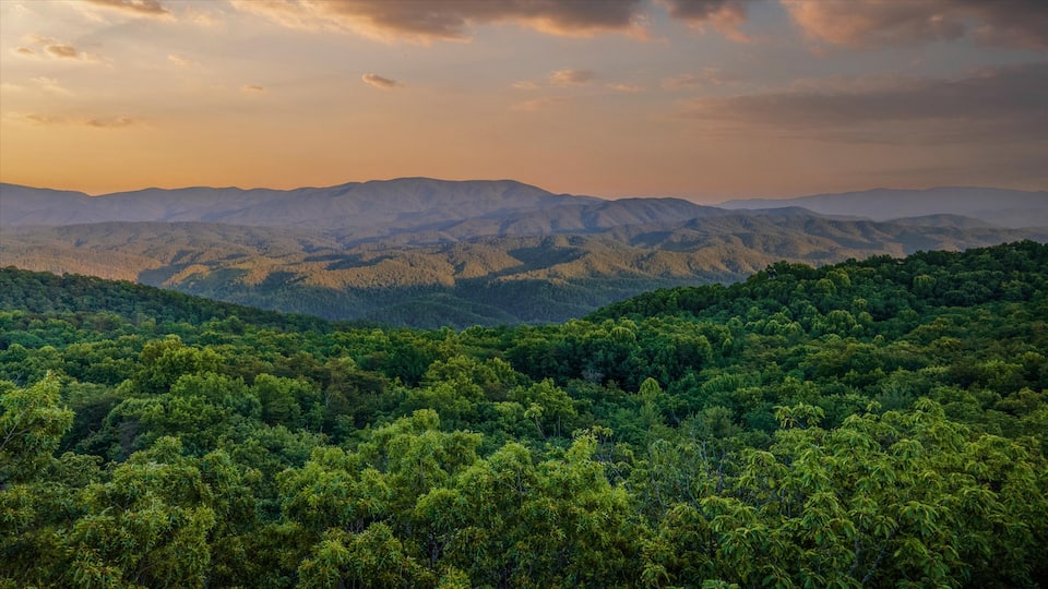 The Smoky Mountain Treehouse, Tallassee, Tennessee, United States, photo 10 of 10