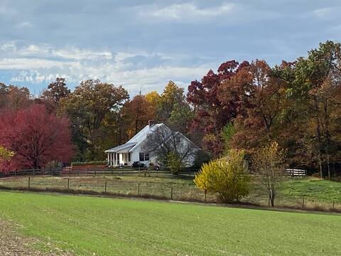 The Humble Homestead