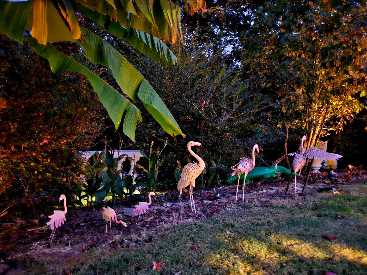 A Relaxing Enchanted Resort