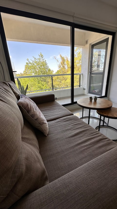 Popular Airbnb listing: Beautiful sunny apartment by the Lujan river in Tigre