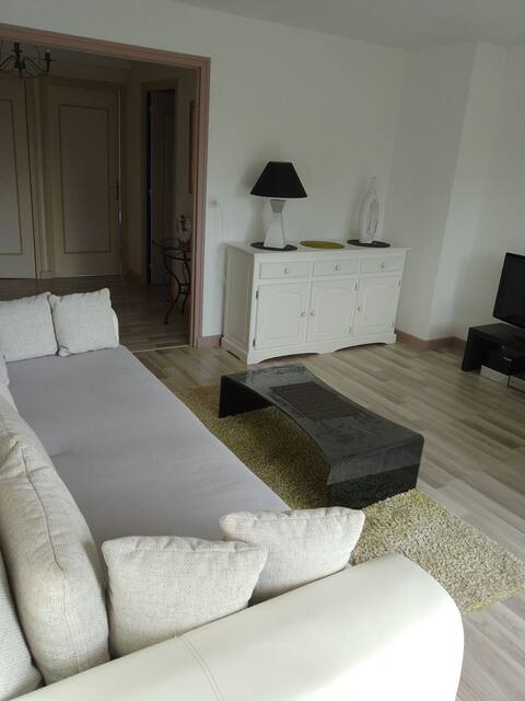 Popular Airbnb listing: Spacious LENS apartment in Lens