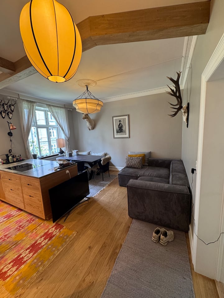 63 M2 Apartment On ØSterbro - Copenhague