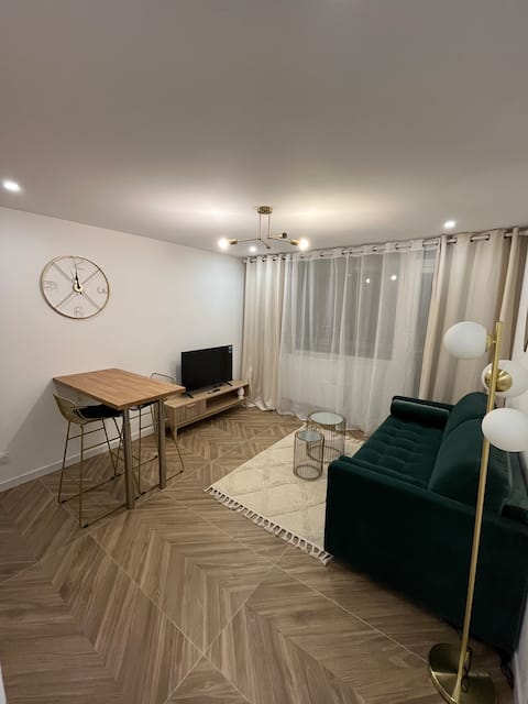 Annonce Airbnb populaire: Studio a stone's throw from Geneva UN BIT CERN airport à Ferney Voltaire