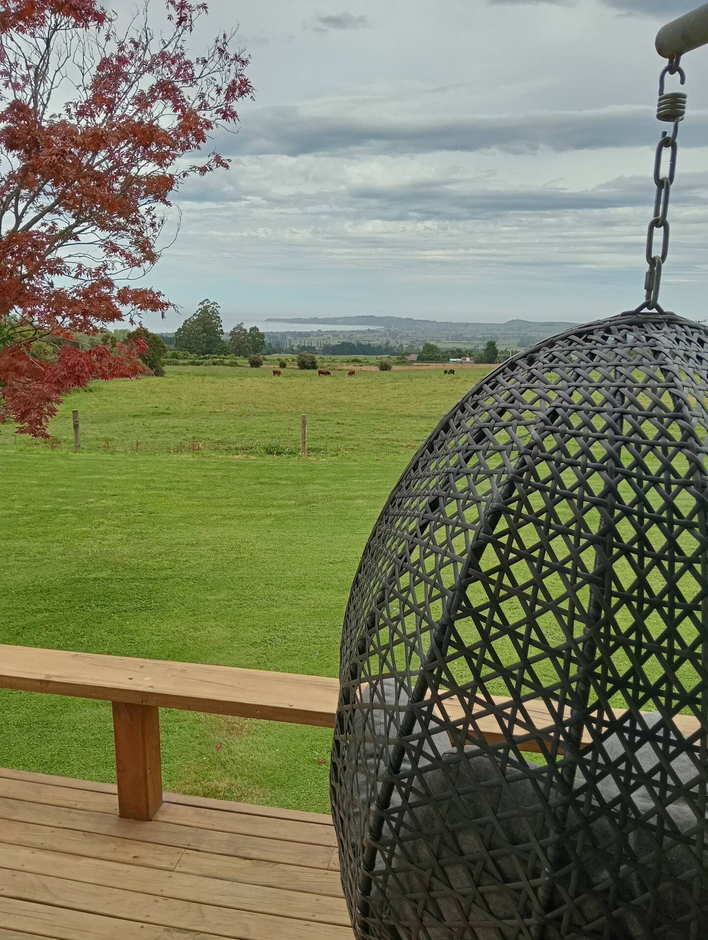 Kereru Cottage 2