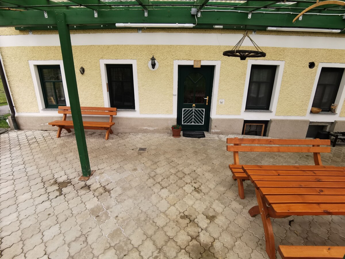 An outdoor terrace features wooden benches and tables arranged on a tiled floor. A green pergola provides shade over the seating area. The entrance door is centered, flanked by several windows, enhancing the inviting layout of the space.