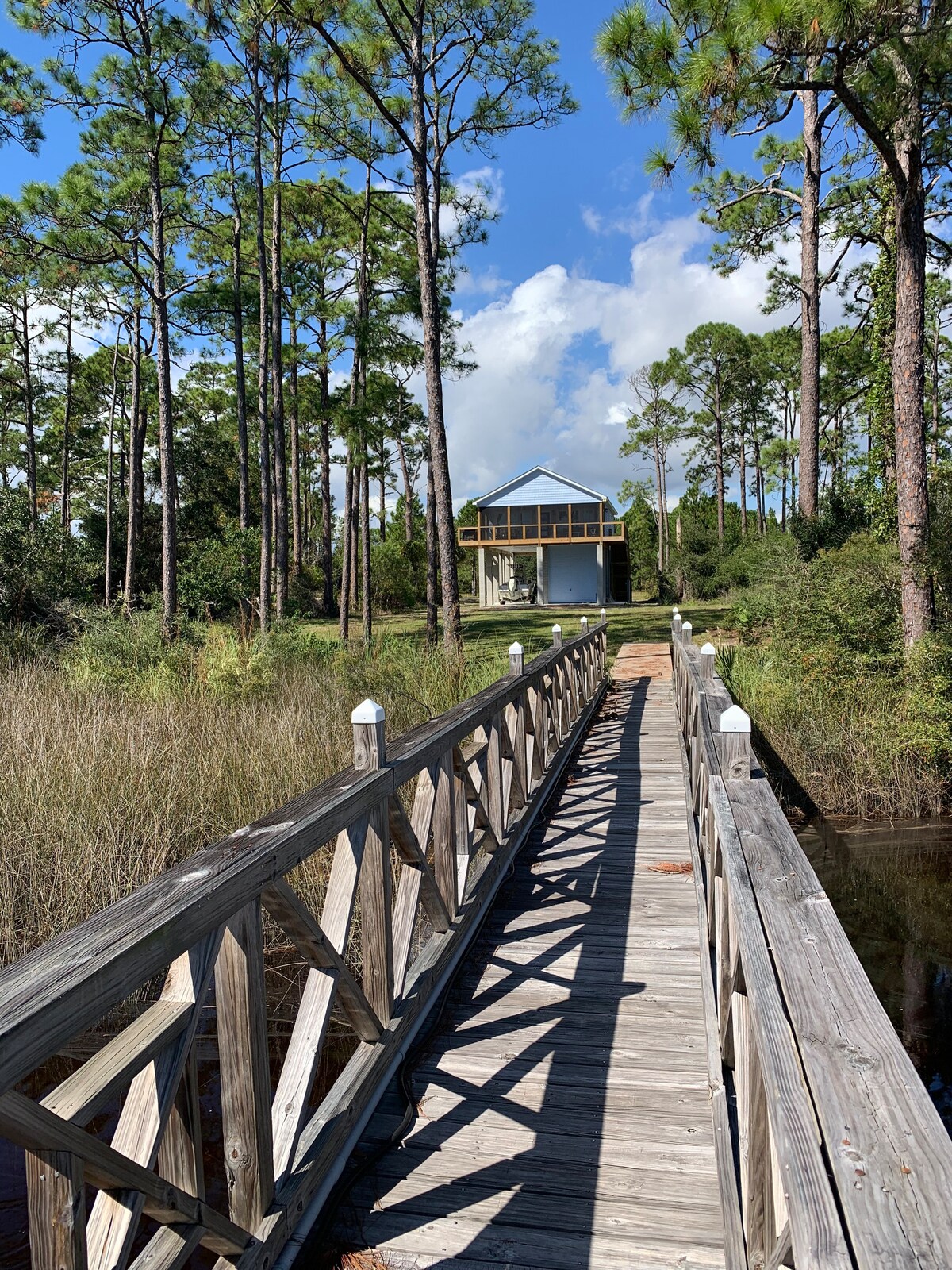 A wooden boardwalk stretches towards a modern house nestled among tall pine trees. The pathway is framed by green grass and foliage, leading to the building's elevated porch, where large windows invite natural light. The sky features scattered clouds overhead.